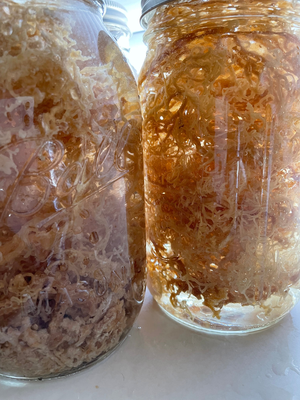 Seamoss & Irishmoss Gel — Multipurpose Algae Mineral Blend